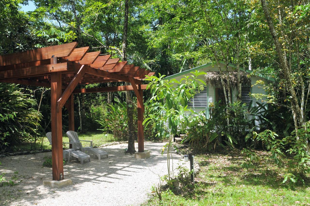 Hickatee Cottages, Belize, Central America Punta Gorda Exteriér fotografie