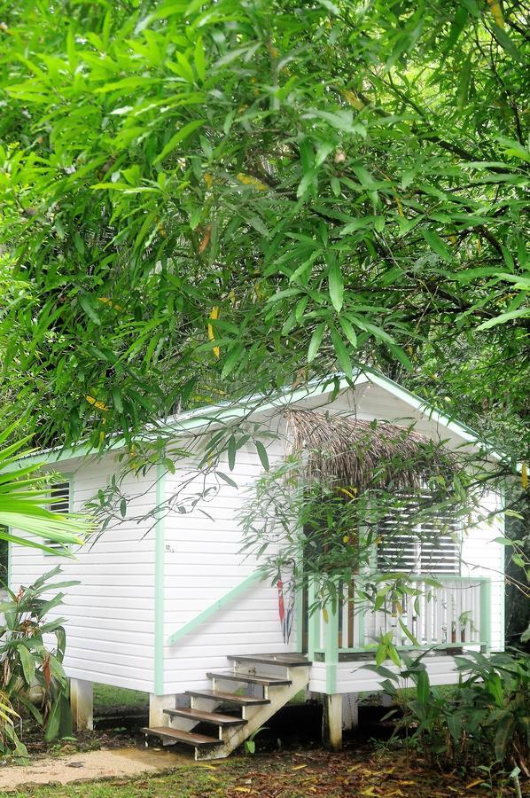 Hickatee Cottages, Belize, Central America Punta Gorda Exteriér fotografie