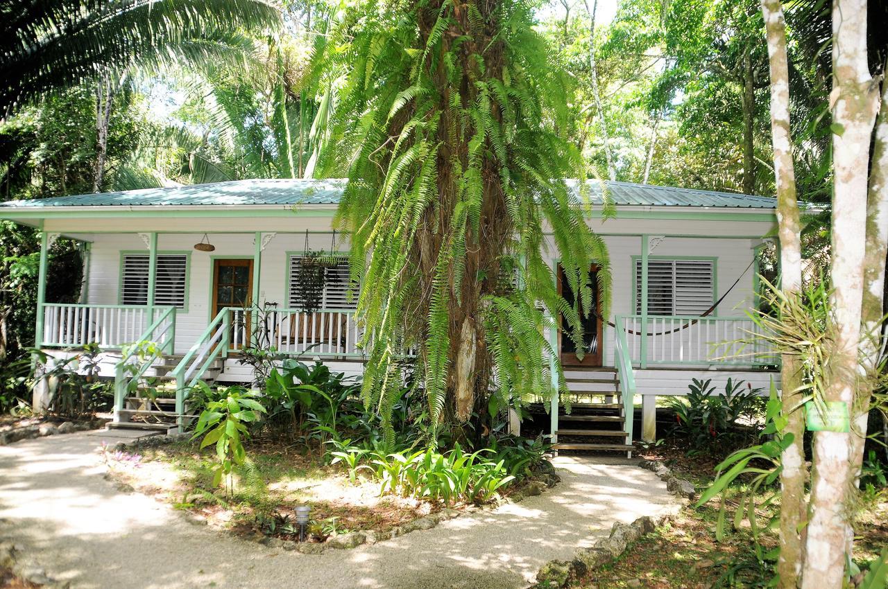 Hickatee Cottages, Belize, Central America Punta Gorda Exteriér fotografie
